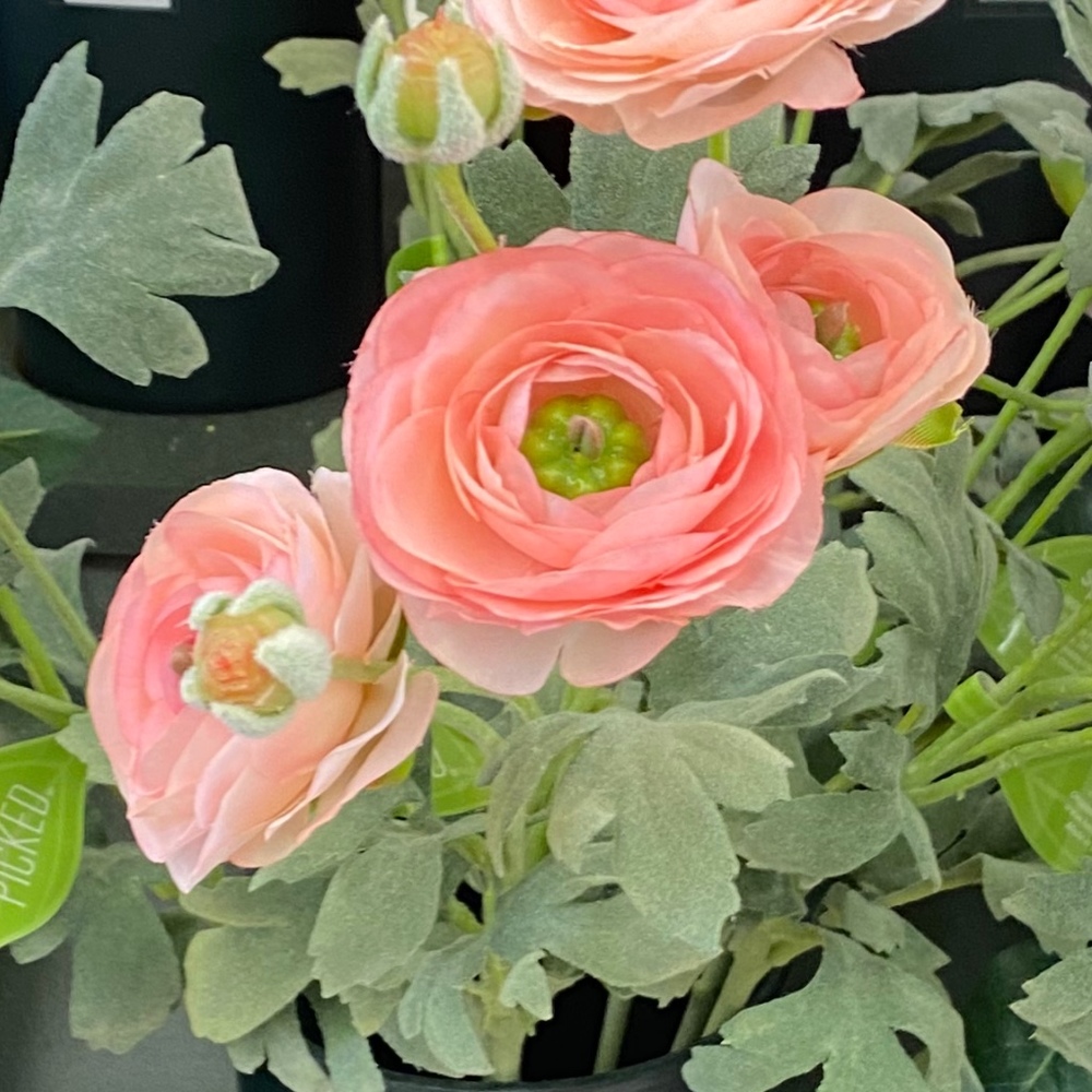 Meet your Posher, Posh